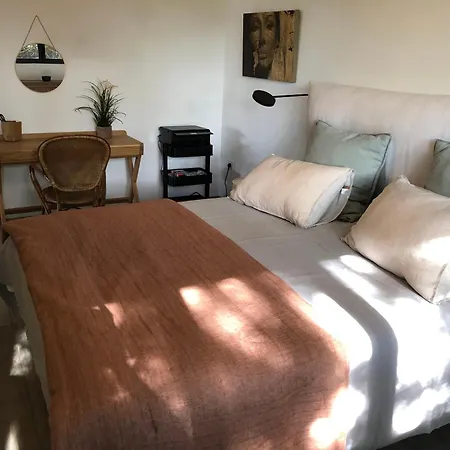 Luxueux San Peire Apartment